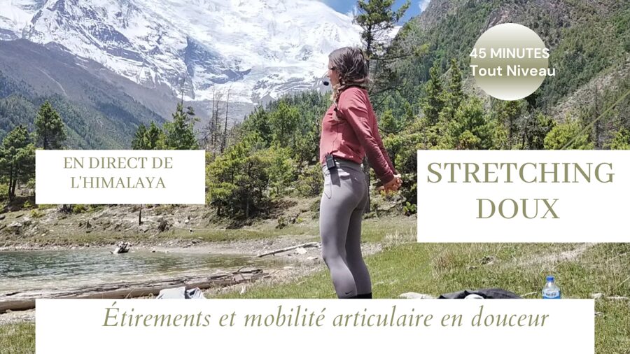 Obtient ta vidéo préférée à la maison !
